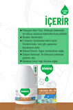 Siveno %100 Doğal Roll On Hindistan Cevizli Deodorant Ter Kokusu Önleyici Bitkisel Leke Bırakmayan Vegan 50 ml
