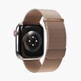 Vonmahlen Milanese Loop 2 Kapak & Kılıf 2 Kordon - Gül Altın