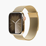 Vonmahlen Milanese Loop 2 Kapak & Kılıf 1 Kordon - Altın