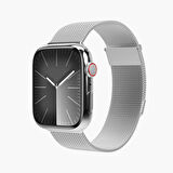 Vonmahlen Milanese Loop 2 Kapak & Kılıf 1 Kordon - Gümüş