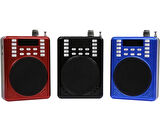 Subzero KTX 1601 Mikrofonlu Rehber Öğretmen Amfisi USB/TF/AUX FM Destekli Hoparlör