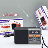 Rose YSF-006BT Mp3 Müzik Çalar FM Radyo Bluetooth Mini Wireless Speaker