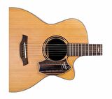 Schlagwerk SJ110M SamJam  Gitar Trampet Makassar Design