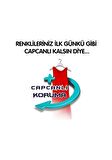 Bingo Renkli Sıvı Bakım Çamaşır Deterjanı 4 lt x 2 Adet