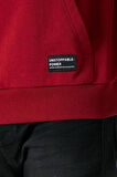 Erkek Bordo Basic Kapüşonlu Regular Fit Normal Kesim 2 İplik Kumaş Günlük Sweatshirt