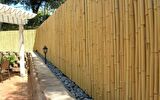  Bambu Çit Kamış Çit 3 Adet 2x5 Metre Hasır Çit Eni 2 Metre Uzunluk 5 Metre Rulo Bahçe Çiti