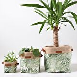 Palm Serisi Green 3lü Kumaş Organizer&Saksı Kılıfı Seti