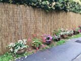 Bambu Çit Kamış Çit 1 Adet 1x5 Metre Hasır Çit Eni 1 Metre Uzunluk 5 Metre Rulo Bahçe Çiti