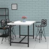 Knsz orta boy tel bar sandalyesi 1 li mağrur syhaldo kolçaklı sırt minderli 65 cm oturma yüksekliği mutfak bahçe cafe ofis