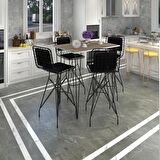 Knsz masa sandalye takımı hem105zengin crdsyh 100*070 4 sandalye syhsyh sırt minderli