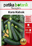 25 Adet Yerli Ata Siyah Kabak Tohumu (Kolsuz Kara Kabak)
