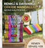 24 adet akyazı renkli mandal 