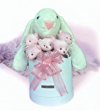 SOLE Premium Özel Hediye Kutusunda 45 cm Beyaz Bunny Tavşan ve 5 Adet Kırmızı Peluş Ayıcık Buketi