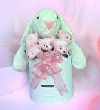 SOLE Premium Özel Hediye Kutusunda 45 cm Beyaz Bunny Tavşan ve 5 Adet Kırmızı Peluş Ayıcık Buketi