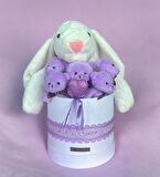 SOLE Premium Özel Hediye Kutusunda 45 cm Beyaz Bunny Tavşan ve 5 Adet Kırmızı Peluş Ayıcık Buketi