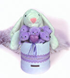 SOLE Premium Özel Hediye Kutusunda 45 cm Beyaz Bunny Tavşan ve 5 Adet Kırmızı Peluş Ayıcık Buketi