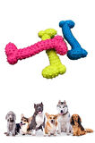Tiny Kemik Oyuncağı Tırtıklı Yüzey Küçük Kemik Plastik Köpek Oyuncağı  GO50607694490