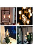 Osram Vintage 6,5W (55W) Dim Glop Rustik Ampul - Sarı (3 Adet) Işığı Kısılabilir Dekoratif Lamba