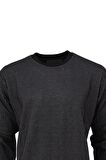Erkek Mevsimlik Doğal Pamuklu Sweatshirt Bisiklet Yaka Çizgili Rahat Kesim Tam Kalıp