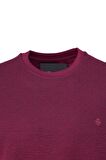 Erkek Mevsimlik Doğal Pamuklu Şık Sweatshirt Bisiklet Yaka Panolu Rahat Kesim Tam Kalıp