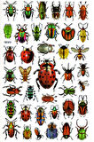 Sticker Kabartmalı Yaldızlı Stiker Çıkartma Etiket (DE610)-16x25 cm- Böcek Türleri