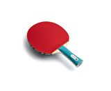 Butterfly Masa Tenis Raketi TT Bat Progress 6110270002