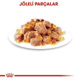 Royal Canin Sterilised Kısırlaştırılmış Kediler için Jöle İçerisnde Yaş Kedi Maması 85g