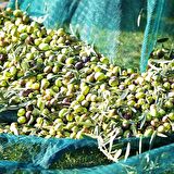 4X5 METRE ZEYTİN SERGİSİ ZEYTİN TOPLAMA FİLESİ FINDIK FISTIK ÖRTÜSÜ %75 GÖLGELİK DUT MEYVE SERGİSİ TABAN ÖRTÜSÜ