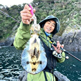 Yamashita Egi OH F 2.5 7.5cm 10gr Kalamar Zokası NAJ