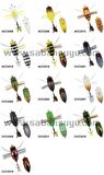 Duo Realis Shinmushi CCC3207