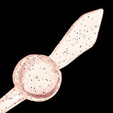 Evergreen DOT TAIL 2.5" Nokta Kuyruklu Light Game Solucan Yem 501 CLEAR SL - (20026501)