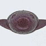 Evergreen I-MACHO 2.8" Kokulu Solucan Yem 126 IMAE AYU - (19902126)