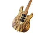 Fujigen EOS2 Odyssey Elektro Gitar EOS2DU24HSHEW4RMMNF