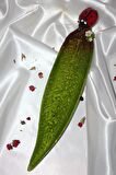 Seramik Çubuk Tütsülük Uzun Yaprak Uğurböceği Yeşil
