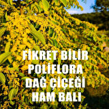 Poliflora Dağ Çiçeği Ham Balı 850 gr