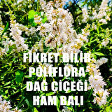 Poliflora Dağ Çiçeği Ham Balı 850 gr