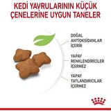 Royal Canin Kitten Sterilised Kısırlaştırılmış Yavru Kedi Maması 2 kg