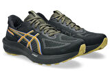 Asics 1011C078-001 Gt-1000 14 Gtx Erkek Koşu Ayakkabısı