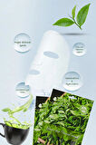 5 Adet Yeşil Çay Özlü Kağıt Yüz Maskesi Green Tea Face Mask 25ML XLM99