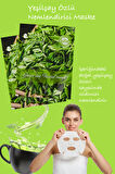 10 Adet Yeşil Çay Özlü Kağıt Yüz Maskesi Green Tea Face Mask 25ML XLM99