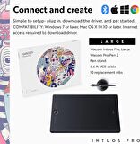 Wacom Intuos Pro Büyük 10.4 inç Grafik Tablet