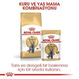 Royal Canin British Shorthair için Kuru Kedi Maması 4kg