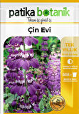 100 Adet Mor-beyaz Çin Evi Çiçek Tohumu (COLLİNSİA HETEROPHYLLA)