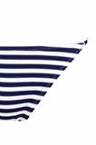 DeFacto Fall in Love Regular Fit Çizgili Bikini Alt A9458AX23HSNV30