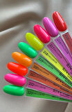 Envy Kalıcı Oje Exclusive Neon Turuncu 10gr No:221