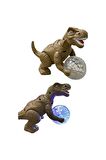 Yürüyen Işıklı Sesli Disko Toplu Trex Dinozor Oyuncak Dinazor