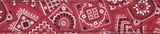 PLANETWAVES 50G02 GİTAR ASKISI DOKUMA 50MM KIRMIZI BANDANA