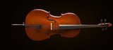VALENCIA CE160F44 CELLO 4/4 SCALE +KILIF+YAY, KARARTILMIŞ AKÇAAĞAÇ B