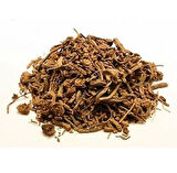 Kediotu Kökü 1 KG, Lokman Aktar