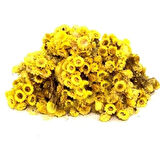 Altın Otu (Altınotu) Solidago virgaurea 1 kg, Derya Eren